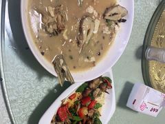 -煲来饱去冷水鱼