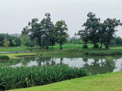 -两河城市森林公园