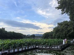 -北山街历史文化街区