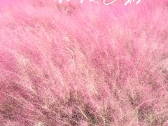 -嘉北郊野公园