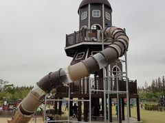 -上海长兴岛郊野公园