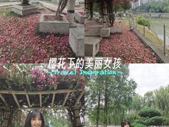 -温江公园