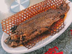 -老家菜馆(正定店)