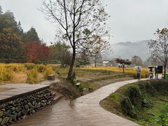 -塔川景区