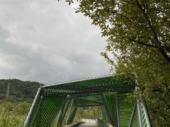 -西湖风景区-江洋畈生态公园