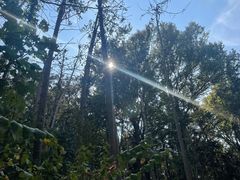 -青龙山国家森林公园