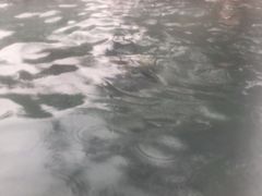 -咸宁万豪温泉谷度假区