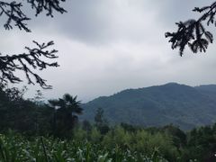 -凤栖山