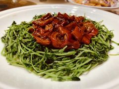 -森谷美食公园(杨行店)