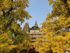 -北京石刻艺术博物馆(五塔寺)