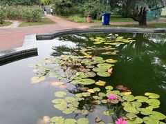 -国家植物园南园