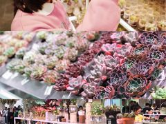 -KKV(深圳宏发大仟里店)