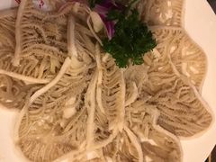 -红鼎坊·老成都火锅(新南门店)
