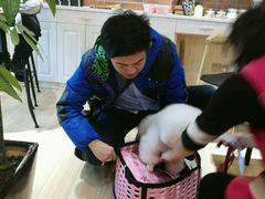 -宠小格时尚宠物生活馆(唐镇店)