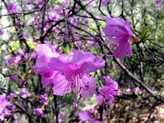 -白草畔自然风景区