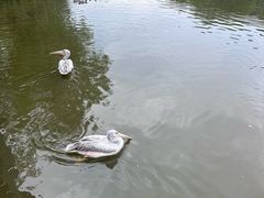-杭州野生动物世界