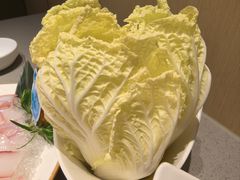 娃娃菜-海底捞火锅(太阳宫凯德mall店)