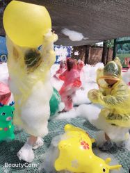 -上美四季动物农场