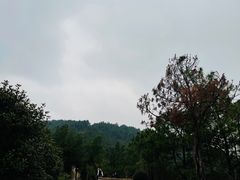 -缥缈峰景区