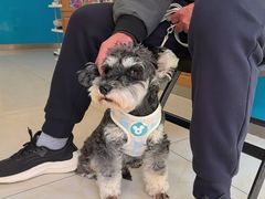 -康爱犬猫诊所·牙专科·骨外科·影像内科(丰宁店)