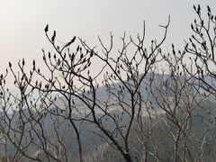 -府君山公园