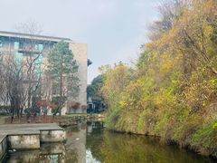 -善园自助餐厅(君澜·绍兴鉴湖大酒店)