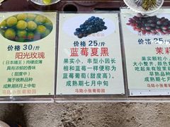 -马陆小张葡萄园农家乐