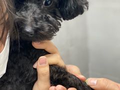 -宠颐生嘉德动物医院