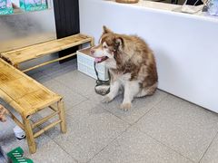 -协和菜馆(凤凰街店)