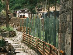 -MOJ coffee(瓯海泽雅水碓坑店)