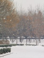 -大望京儿童游乐场