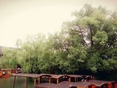 -明月楼
