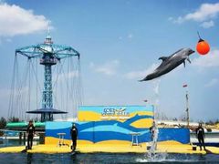 -秦皇岛乐岛海洋王国