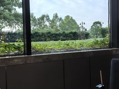 -潮府馆·非遗潮州菜·港式点心(世纪公园店)