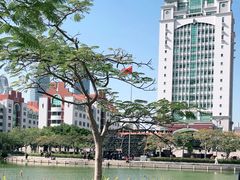 -厦门大学(思明校区)