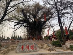 -大槐树寻根祭祖园