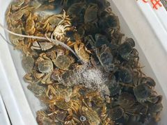 -上海龙吴水胜海发市场