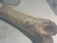 -金华砂锅筒骨砂锅夜宵(临平店)