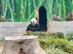 -南昌动物园
