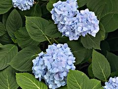 -常州古运河南大街文化旅游区-人民公园