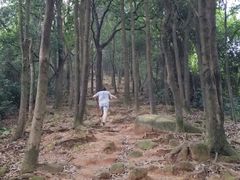 -火炉山森林公园