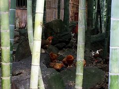 -众神白水涧景区