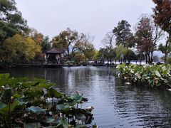 -浙江西子宾馆·牡丹厅