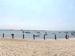 -北海金海湾红树林生态旅游区