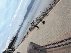 -深圳湾公园(南山区)