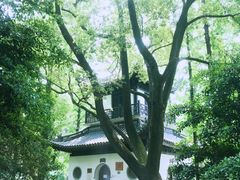 -汇龙潭