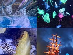 -珠海长隆海洋王国