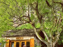 -村上春树