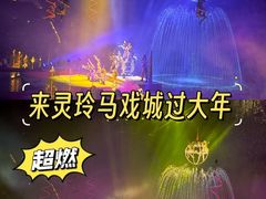 -灵玲国际马戏城