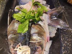 深水花鲢鱼-匠岳·王宝器麻椒鱼(全国总店)